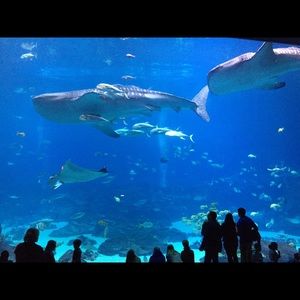 Meet your Posher, Nancy